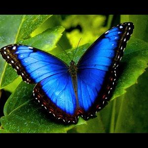 Meet your Posher, Liya